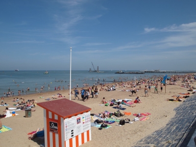 Ostende tropicano (Francisco Gonzalez)  [flickr.com]  CC BY 
Infos zur Lizenz unter 'Bildquellennachweis'