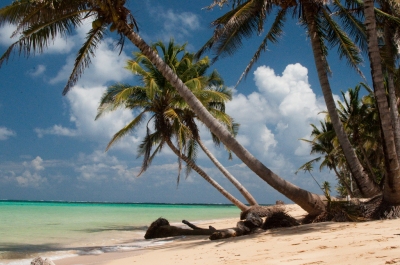 Otto Beach - Little Corn Island - Nicaragua (Brian Johnson & Dane Kantner)  [flickr.com]  CC BY-SA 
Infos zur Lizenz unter 'Bildquellennachweis'