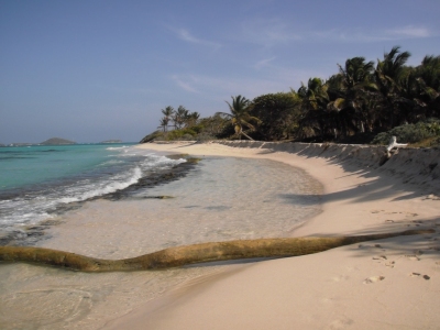 Klimainformationen St. Vincent und die Grenadinen