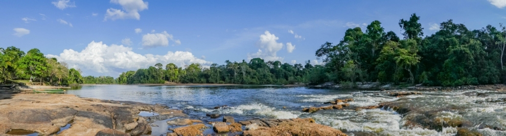 Panoramic view of the Suriname river near Gunsi (-JvL-)  [flickr.com]  CC BY 
Infos zur Lizenz unter 'Bildquellennachweis'