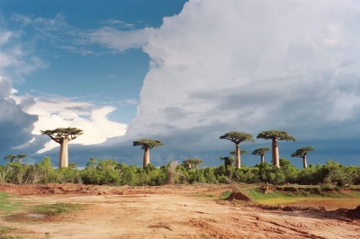 Beste Reisezeit Madagaskar (Wetter, Klimatabelle und Klimadiagramm)