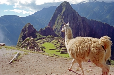Peru-238 (Dennis Jarvis)  [flickr.com]  CC BY-SA 
Infos zur Lizenz unter 'Bildquellennachweis'