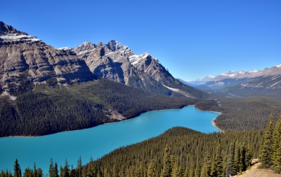 Peyto Lake / Canada (Eric Bauer)  [flickr.com]  CC BY-SA 
Infos zur Lizenz unter 'Bildquellennachweis'