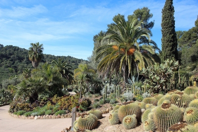 Pinya de Rosa (Albert Torelló)  [flickr.com]  CC BY-SA 
Infos zur Lizenz unter 'Bildquellennachweis'