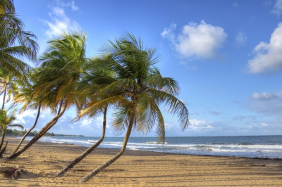 Puerto Rico Beach Scene (Joshua Siniscal)  [flickr.com]  CC BY-ND 
Infos zur Lizenz unter 'Bildquellennachweis'