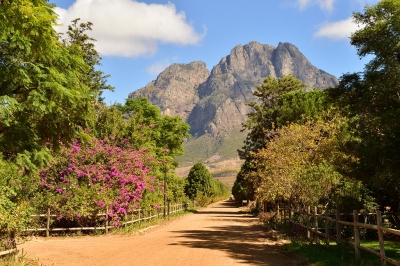 Rhodes Fruit Farm, Stellenbosch, Western Cape, South Africa (South African Tourism)  [flickr.com]  CC BY 
Infos zur Lizenz unter 'Bildquellennachweis'