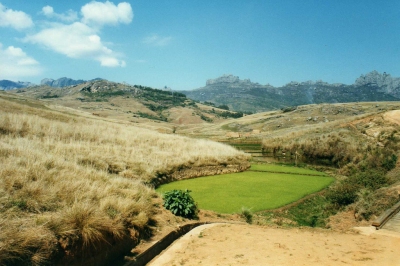 Rice fields and mountains (Leonora Enking)  [flickr.com]  CC BY-SA 
Infos zur Lizenz unter 'Bildquellennachweis'