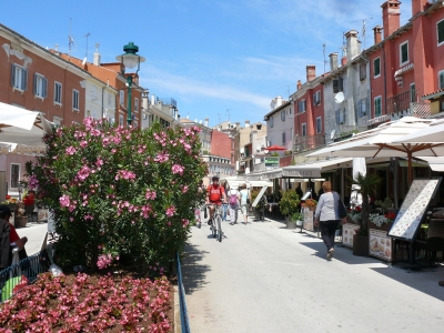 Rovinj, Kroatien (Riessdo)  [flickr.com]  CC BY 
Infos zur Lizenz unter 'Bildquellennachweis'