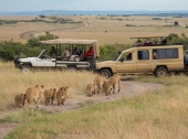 Vorschau: Beste Reisezeit Serengeti