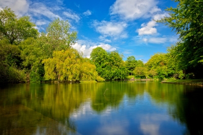 Saint Stephen's Green - HDR (Nicolas Raymond)  [flickr.com]  CC BY 
Infos zur Lizenz unter 'Bildquellennachweis'