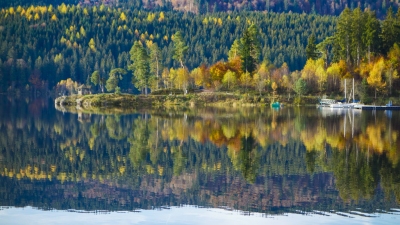 Schluchsee in autumn - Black Forrest, Germany (Manuel Paul)  [flickr.com]  CC BY-ND 
Infos zur Lizenz unter 'Bildquellennachweis'