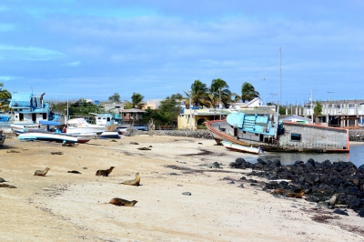 Ship aground on the beach of of Puerto Baquerizo Moreno on San Cristobal Island in the Galapagos Islands (John Solaro (sooolaro))  [flickr.com]  CC BY-ND 
Infos zur Lizenz unter 'Bildquellennachweis'