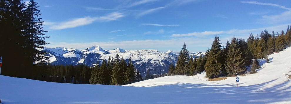 Skiing Kitzbuhel (sk)  [flickr.com]  CC BY-ND 
Infos zur Lizenz unter 'Bildquellennachweis'