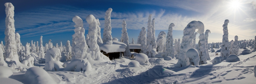 Snowy winter landscape panorama - Riisitunturi (Tero Laakso)  [flickr.com]  CC BY 
Infos zur Lizenz unter 'Bildquellennachweis'