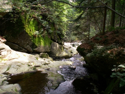 Spiegelau torrent (A3X)  [flickr.com]  CC BY-SA 
Infos zur Lizenz unter 'Bildquellennachweis'