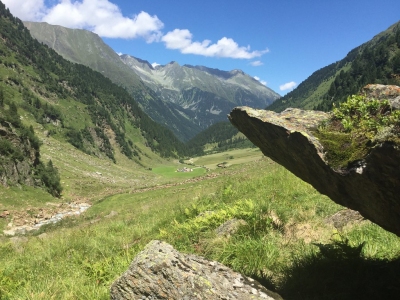 Stubai 2017 (Jörg Lohrer)  [flickr.com]  CC BY 
Infos zur Lizenz unter 'Bildquellennachweis'