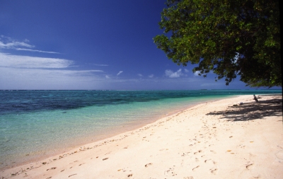 The Marshall Islands - Majuro - Laura Beach #4 (Stefan Lins)  [flickr.com]  CC BY 
Infos zur Lizenz unter 'Bildquellennachweis'