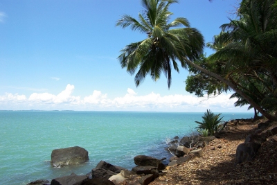 The shore and the coconut trees (Antoine Hubert)  [flickr.com]  CC BY-ND 
Infos zur Lizenz unter 'Bildquellennachweis'