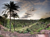Vorschau: Beste Reisezeit Togo