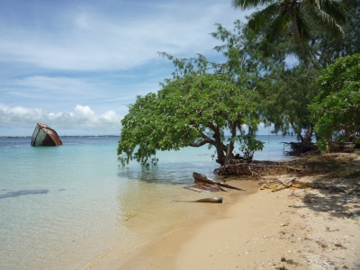 Tonga/Samoa Feb 2009 (Sarah Kelemen Garber)  [flickr.com]  CC BY 
Infos zur Lizenz unter 'Bildquellennachweis'