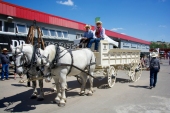 Vorschau: Beste Reisezeit Calgary