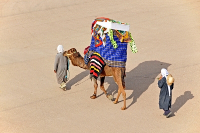 Tunisia-4483 - Camel with a Howdah (Dennis Jarvis)  [flickr.com]  CC BY-SA 
Infos zur Lizenz unter 'Bildquellennachweis'