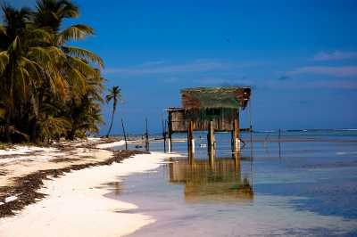 Turtle Man - Ambergris Caye - Belize (cloud2013)  [flickr.com]  CC BY 
Infos zur Lizenz unter 'Bildquellennachweis'