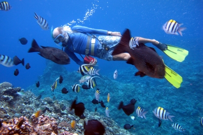 Vanuatu Scuba Diving (Roderick Eime)  [flickr.com]  CC BY 
Infos zur Lizenz unter 'Bildquellennachweis'