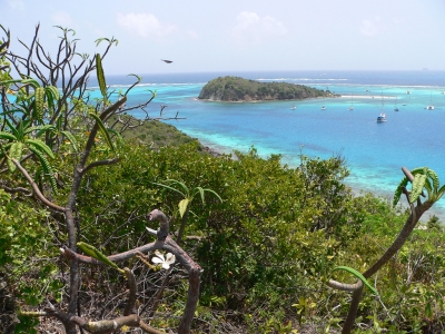 View from the Island Top (Lee Coursey)  [flickr.com]  CC BY 
Infos zur Lizenz unter 'Bildquellennachweis'