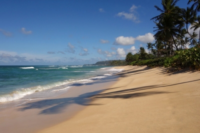 Walk along the North Shore - Haleiwa to Laniakea Beach (Daniel Ramirez)  [flickr.com]  CC BY 
Infos zur Lizenz unter 'Bildquellennachweis'