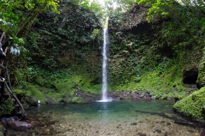 Wall to wall waterfall on Dominica (Chris Favero)  [flickr.com]  CC BY-SA 
Infos zur Lizenz unter 'Bildquellennachweis'