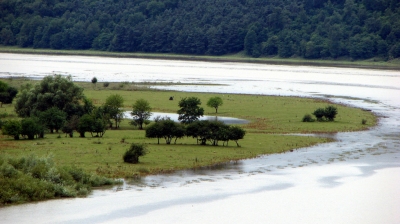 Zbrucz River (Leszek Kozlowski)  [flickr.com]  CC BY 
Infos zur Lizenz unter 'Bildquellennachweis'